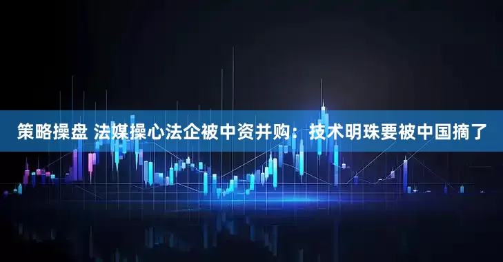 策略操盘 法媒操心法企被中资并购：技术明珠要被中国摘了